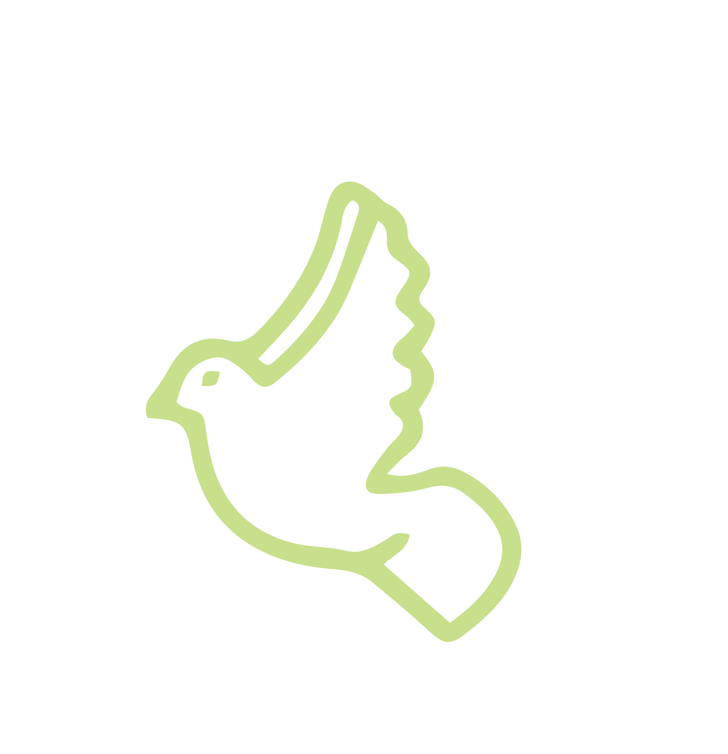 galamb